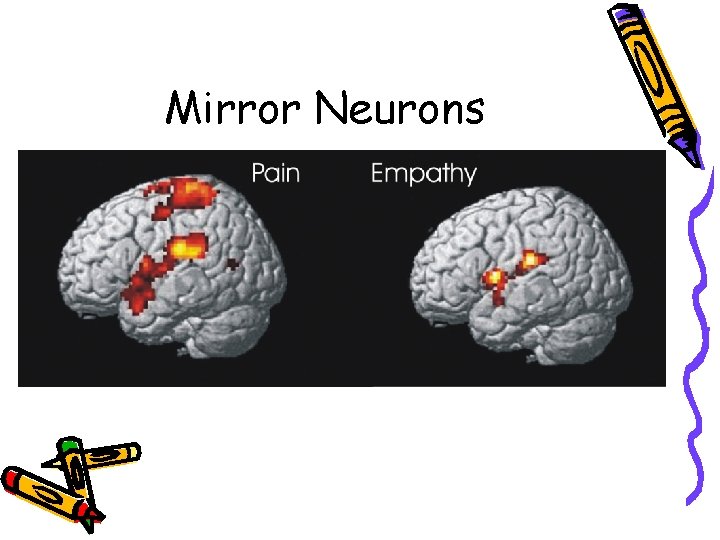 Mirror Neurons 