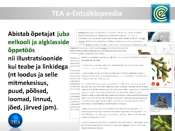 TEA e-Entsüklopeedia Abistab õpetajat juba eelkooli ja algklasside õppetöös nii illustratsioonide kui teabe ja