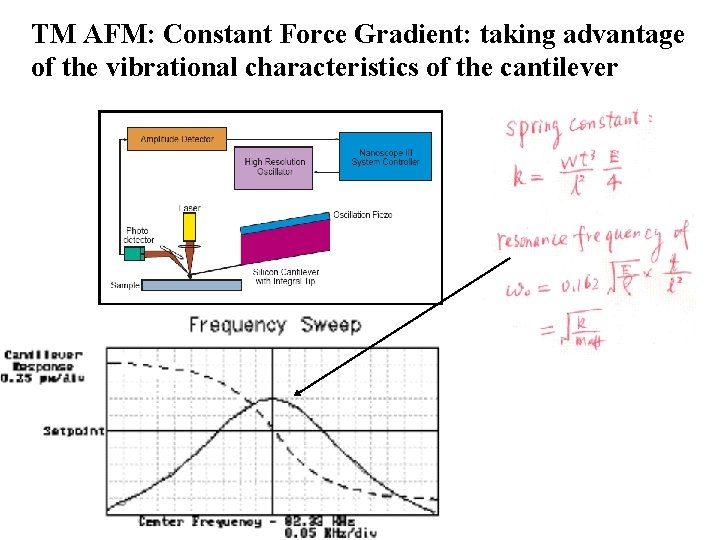 TM AFM: Constant Force Gradient: taking advantage of the vibrational characteristics of the cantilever