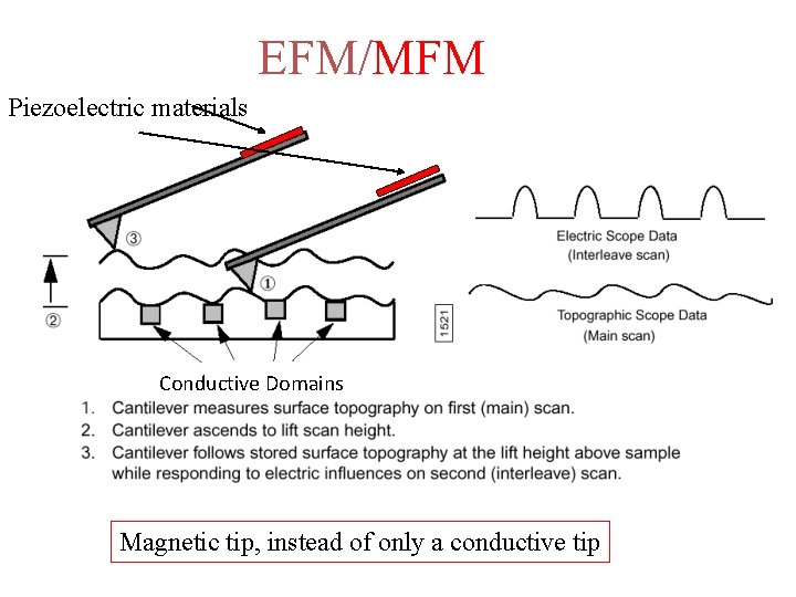 EFM/MFM Piezoelectric materials Conductive Domains Magnetic tip, instead of only a conductive tip 