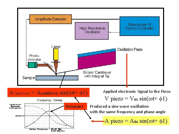 ACantilever = Acantilever sin( t+ 1) Resonant Applied electronic Signal to the Piezo V