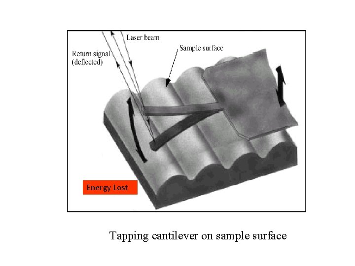 Energy Lost Tapping cantilever on sample surface 