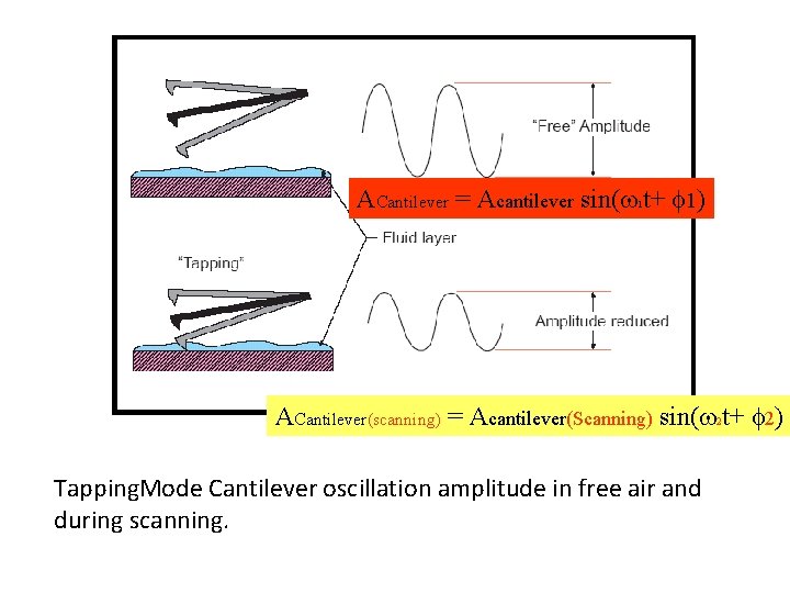 ACantilever = Acantilever sin( t+ 1) 1 ACantilever(scanning) = Acantilever(Scanning) sin( 2 t+ 2)