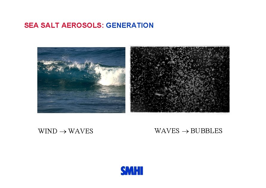 SEA SALT AEROSOLS: GENERATION WIND WAVES BUBBLES 