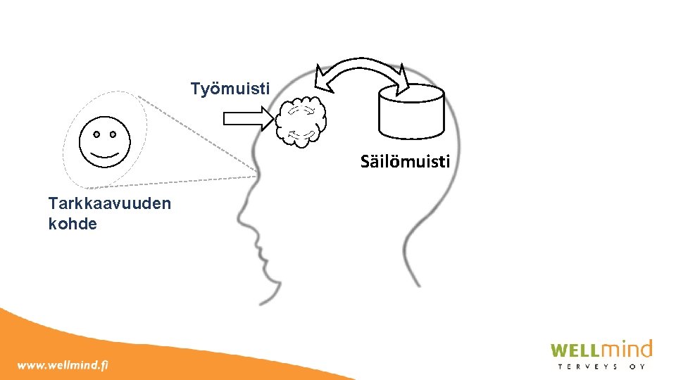 Työmuisti Säilömuisti Tarkkaavuuden kohde 