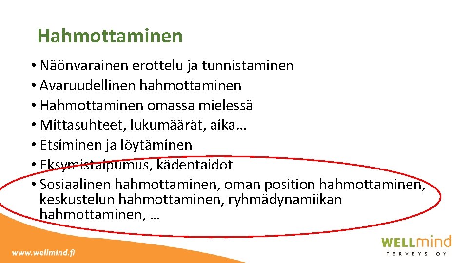 Hahmottaminen • Näönvarainen erottelu ja tunnistaminen • Avaruudellinen hahmottaminen • Hahmottaminen omassa mielessä •