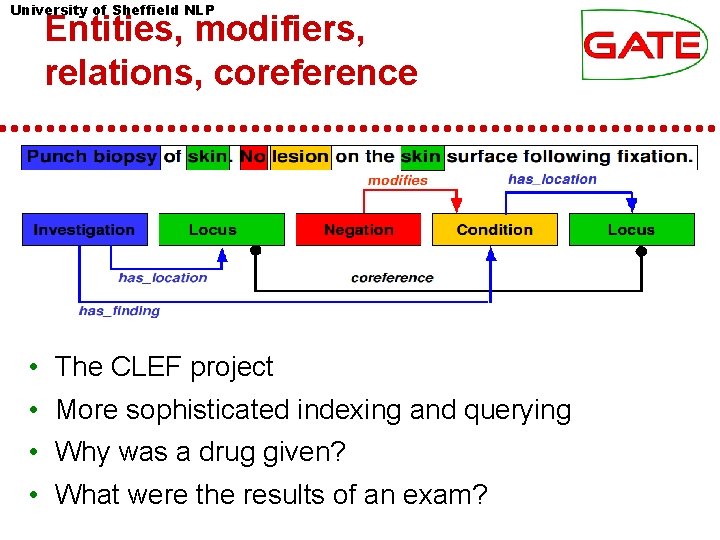 University of Sheffield NLP Entities, modifiers, relations, coreference • The CLEF project • More University of Sheffield NLP Entities, modifiers, relations, coreference • The CLEF project • More