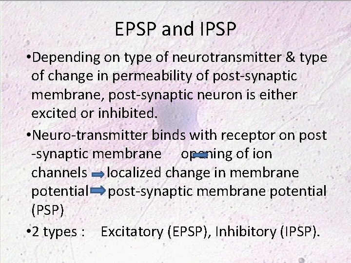 EPSP and IPSP • Depending on type of neurotransmitter & type of change in