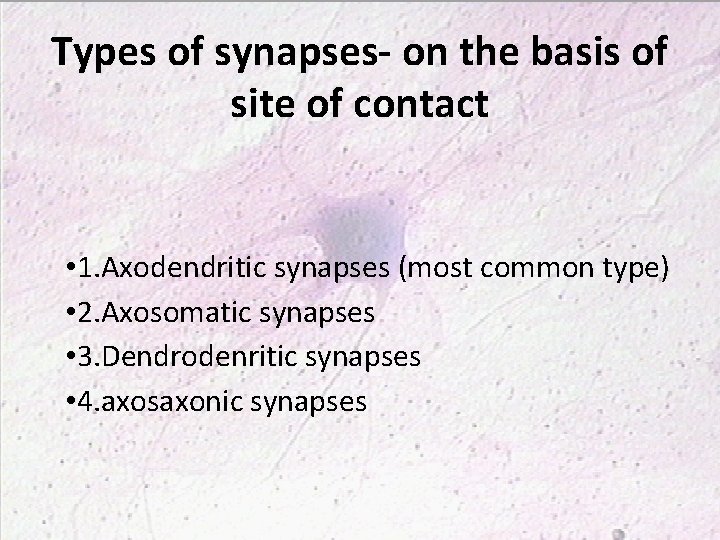 Types of synapses- on the basis of site of contact • 1. Axodendritic synapses