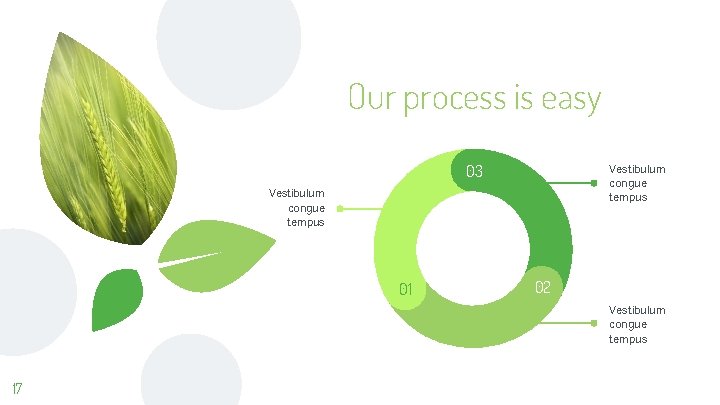 Our process is easy 03 Vestibulum congue tempus 01 02 Vestibulum congue tempus 17