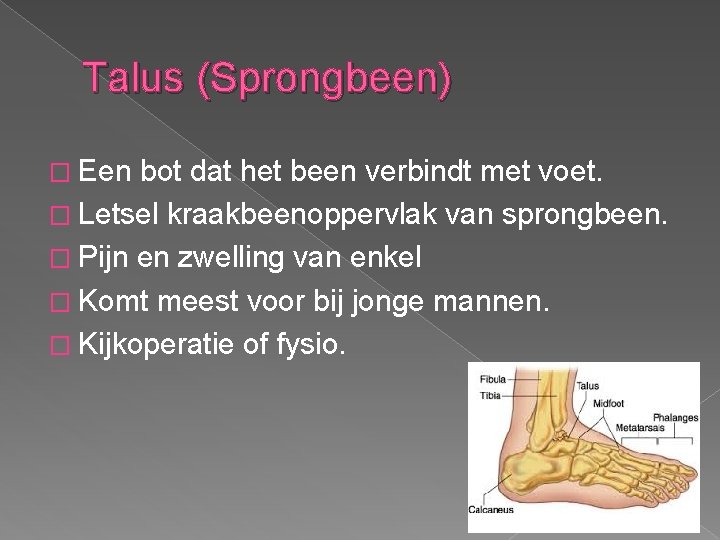 Talus (Sprongbeen) � Een bot dat het been verbindt met voet. � Letsel kraakbeenoppervlak