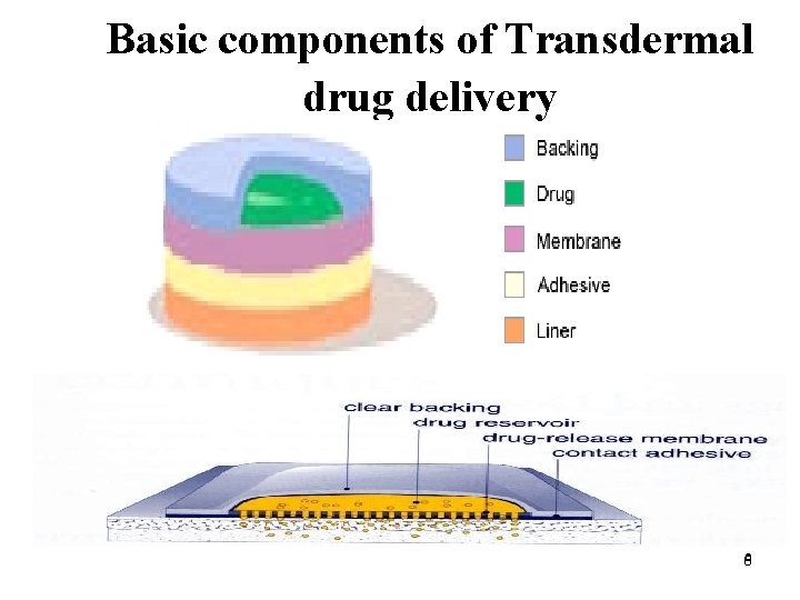 Basic components of Transdermal drug delivery 66 