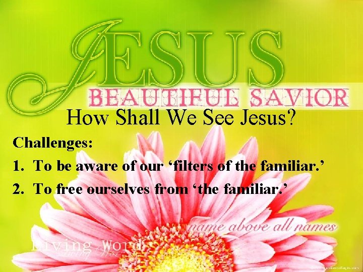 How Shall We See Jesus? Challenges: 1. To be aware of our ‘filters of