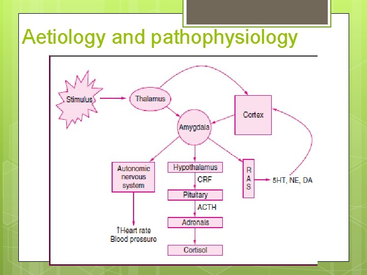 Aetiology and pathophysiology 