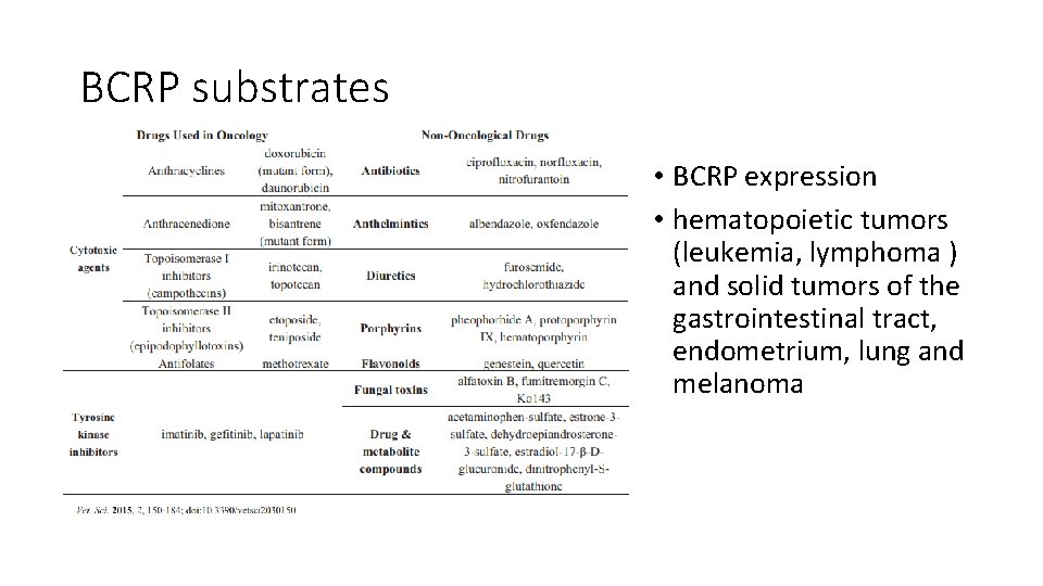 BCRP substrates • BCRP expression • hematopoietic tumors (leukemia, lymphoma ) and solid tumors