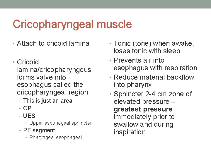 Cricopharyngeal muscle • Attach to cricoid lamina • Cricoid lamina/cricopharyngeus forms valve into esophagus