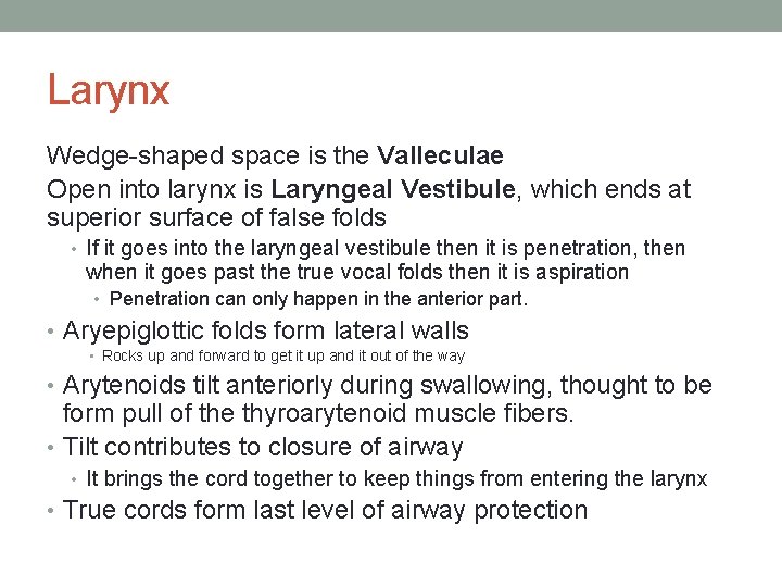 Larynx Wedge-shaped space is the Valleculae Open into larynx is Laryngeal Vestibule, which ends