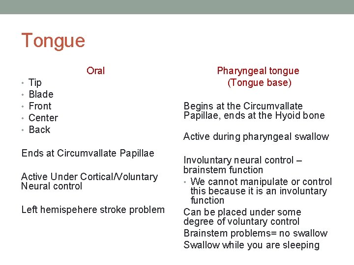 Tongue Oral • • • Tip Blade Front Center Back Ends at Circumvallate Papillae