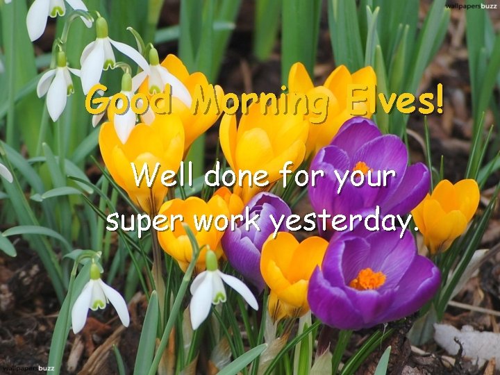 Good Morning Elves! Well done for your super work yesterday. 