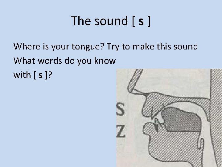 The sound [ s ] Where is your tongue? Try to make this sound
