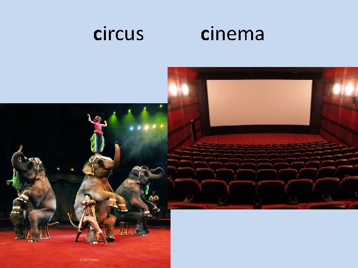 circus cinema 