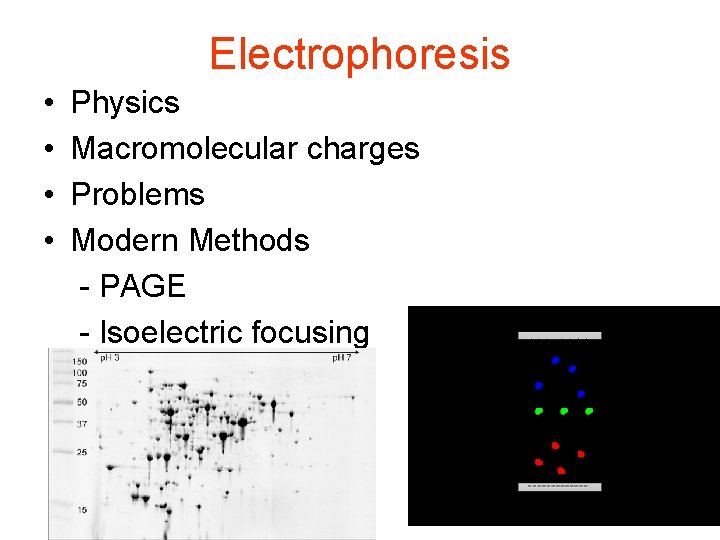 Electrophoresis • • Physics Macromolecular charges Problems Modern Methods - PAGE - Isoelectric focusing