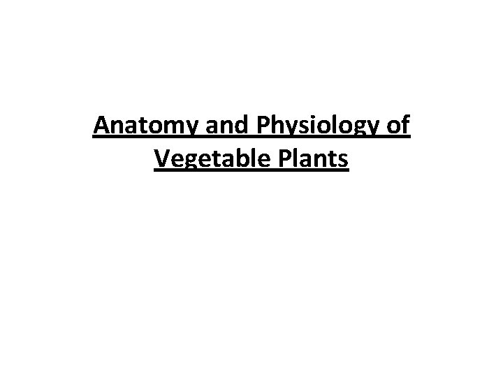 Anatomy and Physiology of Vegetable Plants 