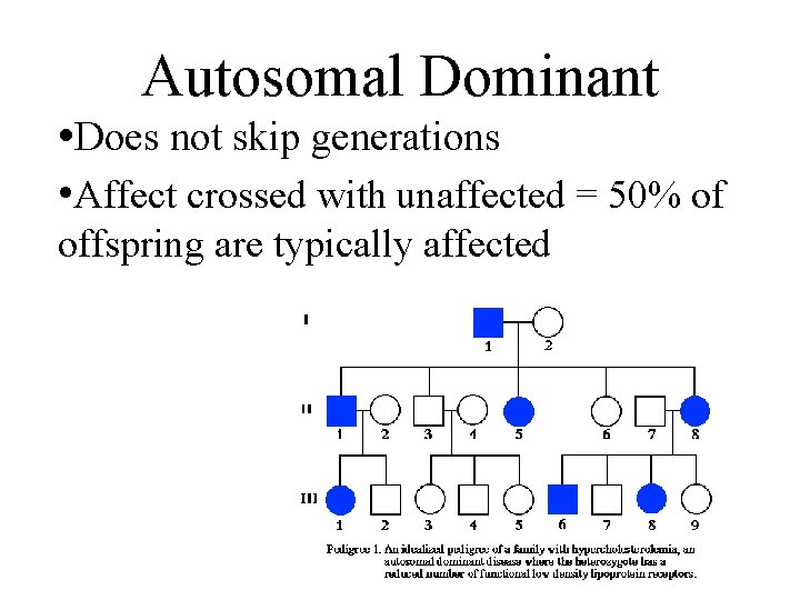 Autosomal Dominant • Does not skip generations • Affect crossed with unaffected = 50%