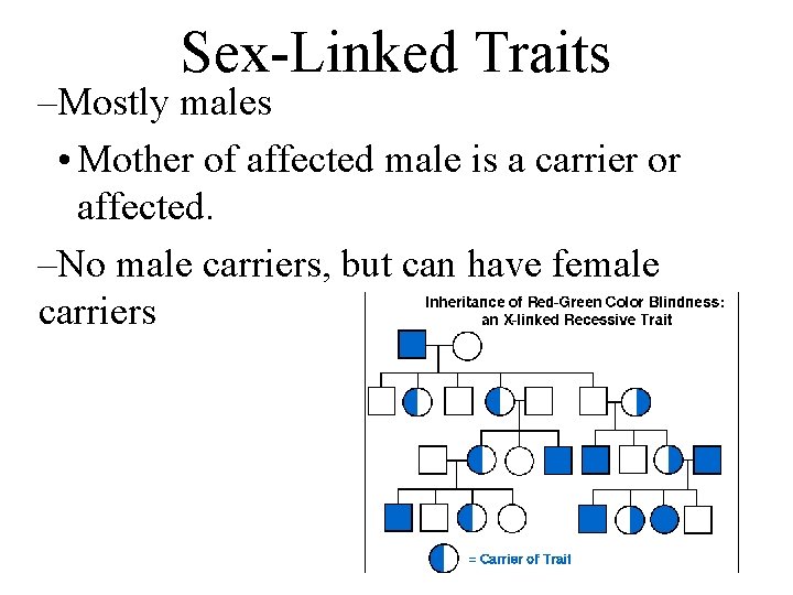 Sex-Linked Traits –Mostly males • Mother of affected male is a carrier or affected.