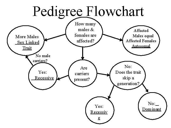 Pedigree Flowchart More Males Sex Linked Trait How many males & females are affected?