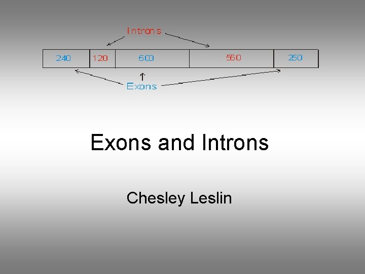Exons and Introns Chesley Leslin 