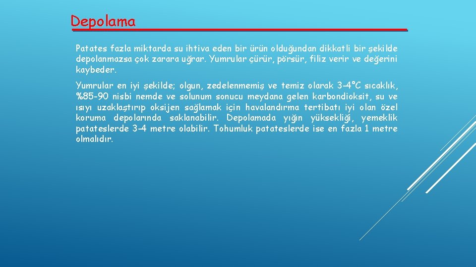 Depolama Patates fazla miktarda su ihtiva eden bir ürün olduğundan dikkatli bir şekilde depolanmazsa