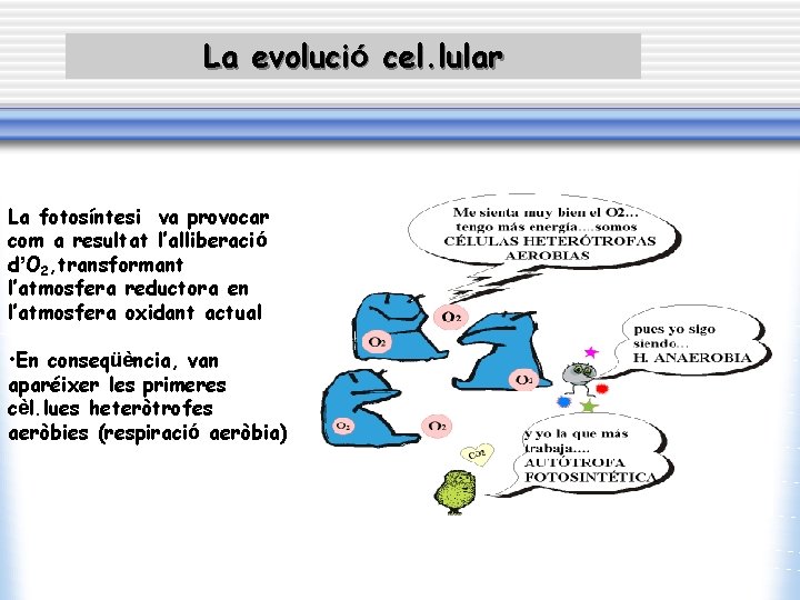 La evolució cel. lular La fotosíntesi va provocar com a resultat l’alliberació d’O 2,