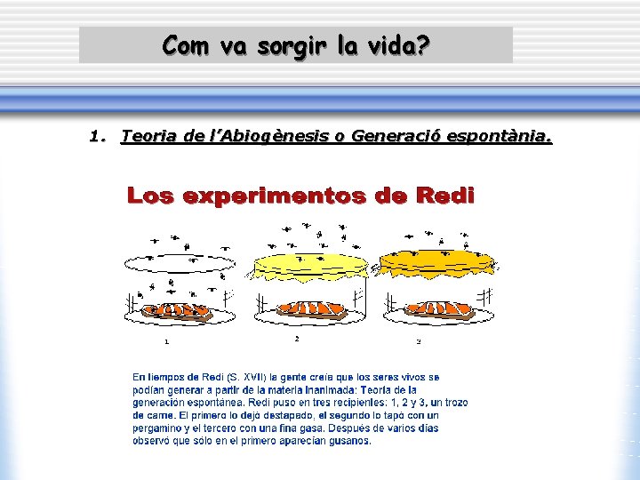 Com va sorgir la vida? 1. Teoria de l’Abiogènesis o Generació espontània. 