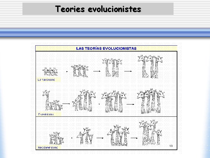 Teories evolucionistes 