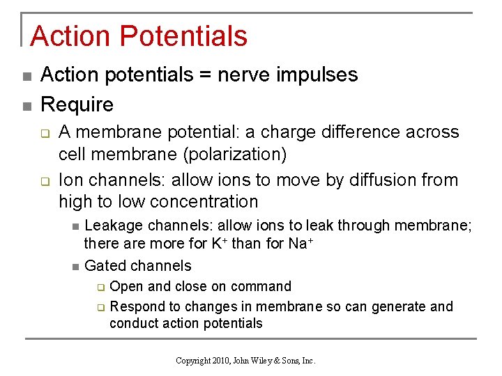 Action Potentials n n Action potentials = nerve impulses Require q q A membrane