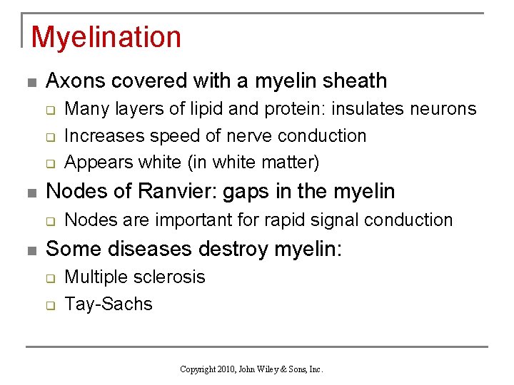 Myelination n Axons covered with a myelin sheath q q q n Nodes of