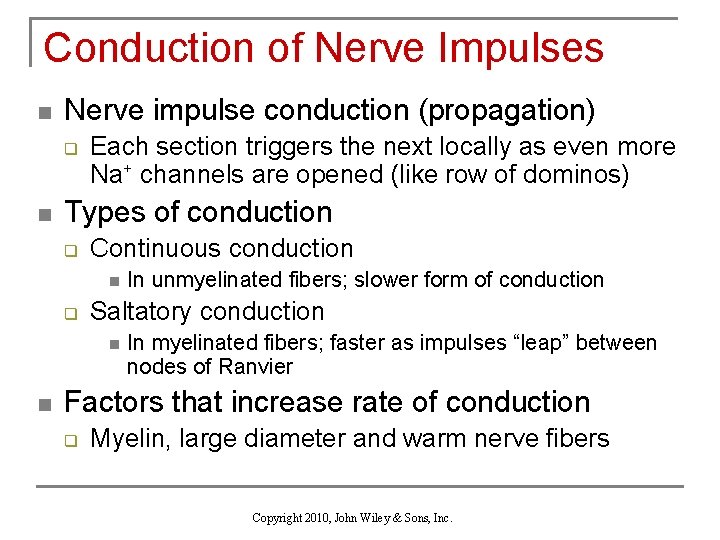 Conduction of Nerve Impulses n Nerve impulse conduction (propagation) q n Each section triggers