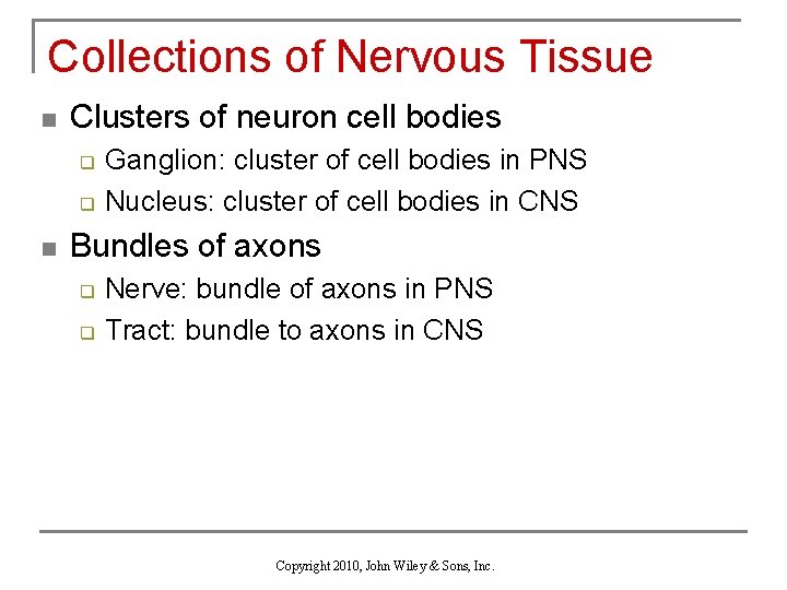 Collections of Nervous Tissue n Clusters of neuron cell bodies q q n Ganglion: