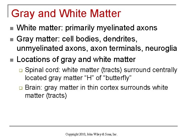 Gray and White Matter n n n White matter: primarily myelinated axons Gray matter: