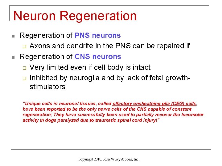 Neuron Regeneration n n Regeneration of PNS neurons q Axons and dendrite in the