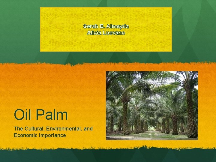 Serah E. Almeyda Alicia Luevano Oil Palm The Cultural, Environmental, and Economic Importance 