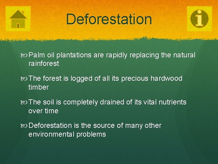 Deforestation Palm oil plantations are rapidly replacing the natural rainforest The forest is logged