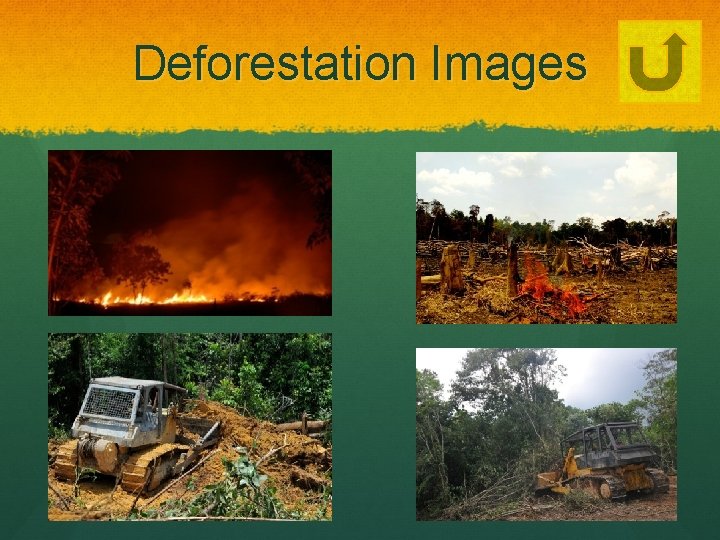 Deforestation Images 