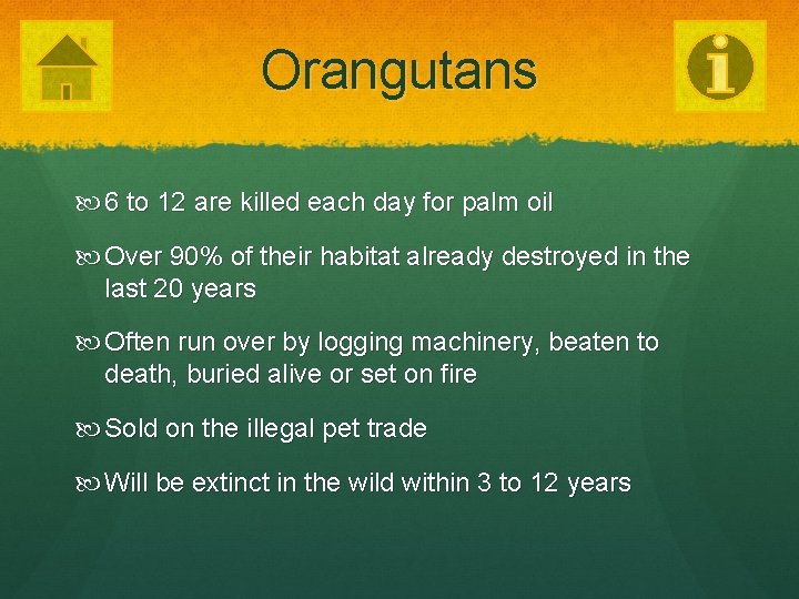 Orangutans 6 to 12 are killed each day for palm oil Over 90% of