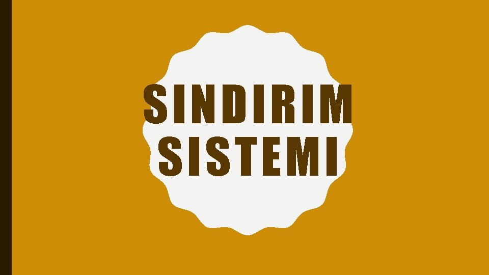 SINDIRIM SISTEMI 