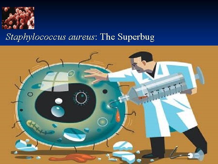 Staphylococcus aureus: The Superbug 4 