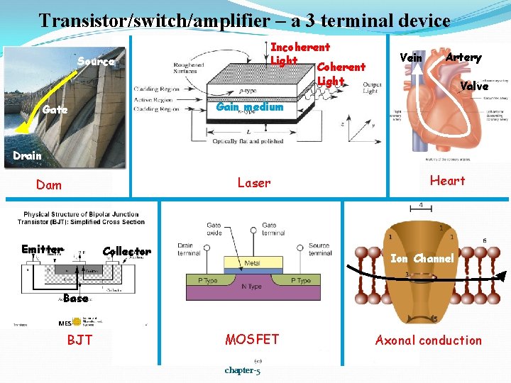 Transistor/switch/amplifier – a 3 terminal device Incoherent Light Coherent Light Source Vein Artery Valve