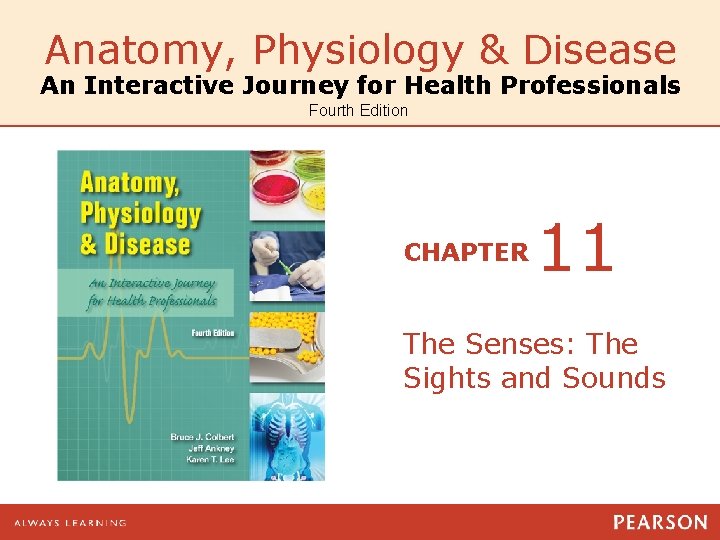 Anatomy, Physiology & Disease An Interactive Journey for Health Professionals Fourth Edition CHAPTER 11