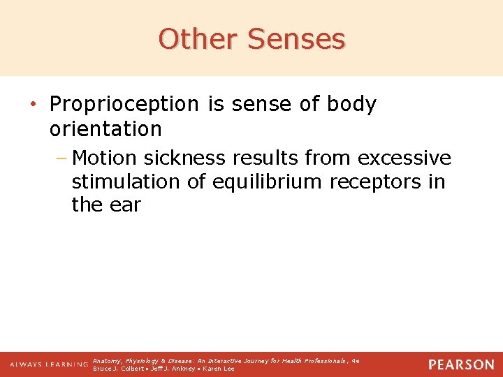 Other Senses • Proprioception is sense of body orientation – Motion sickness results from